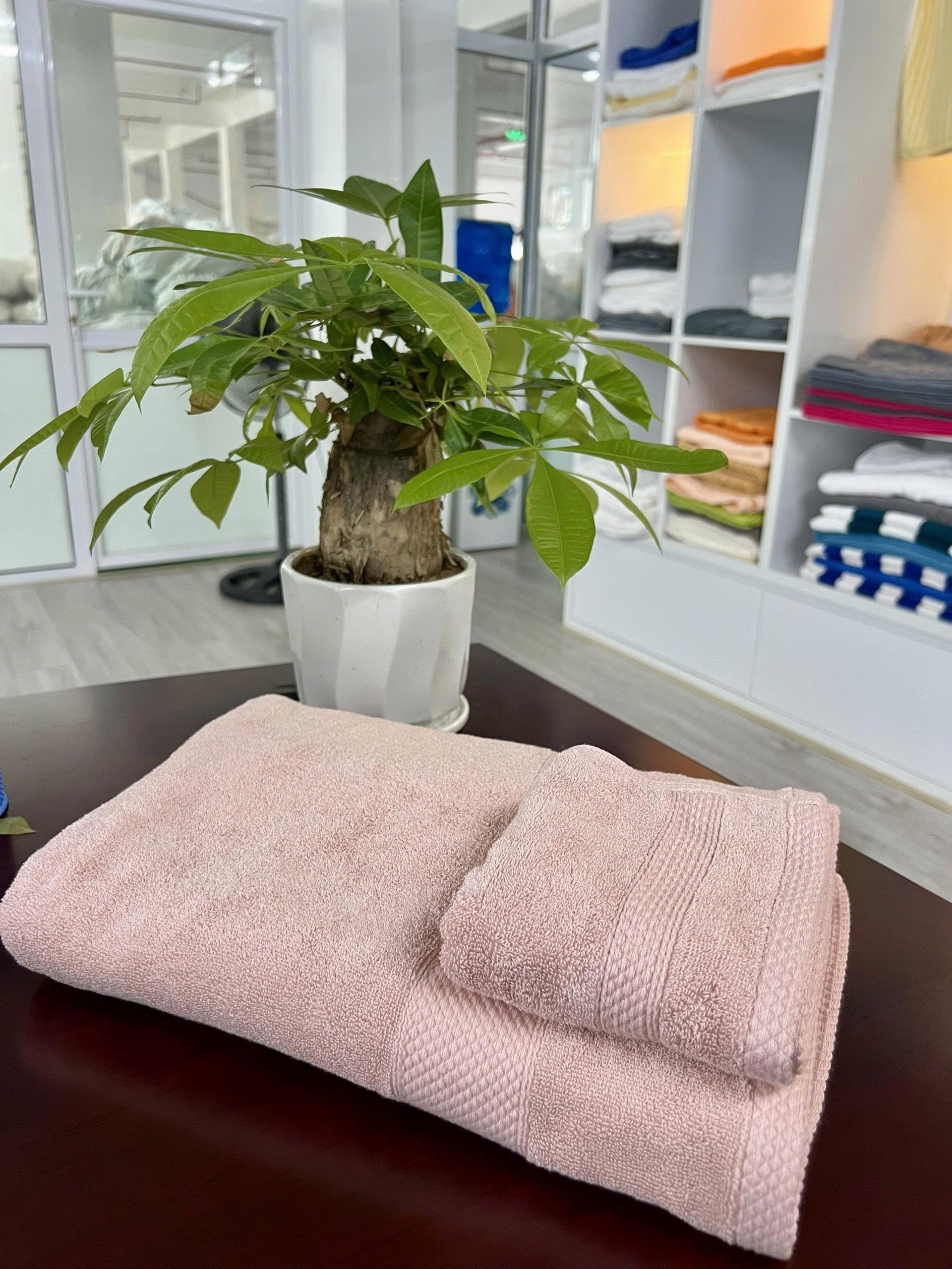 khăn spa pmd triển khai